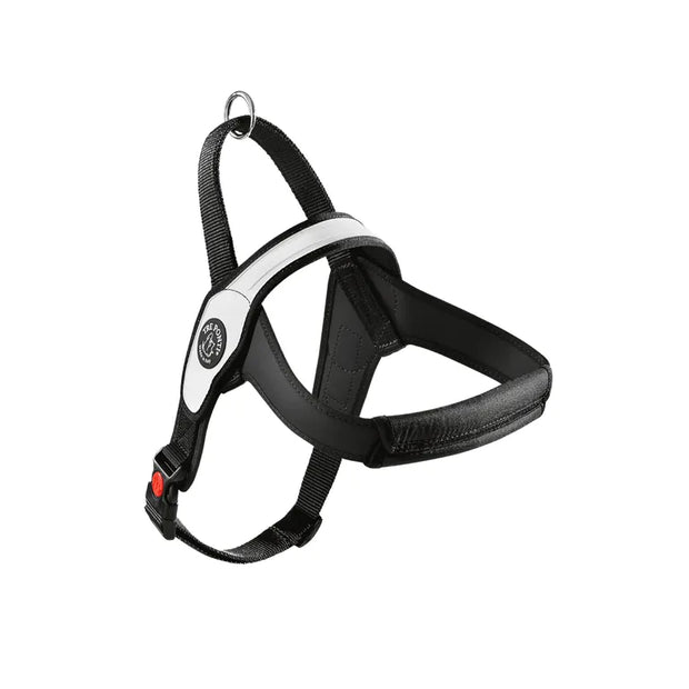 Primo Pettorina Tre ponti