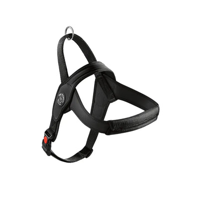 Primo Pettorina Tre ponti