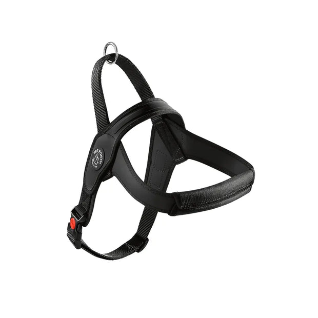 Primo Pettorina Tre ponti