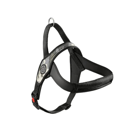 Primo Pettorina Tre ponti