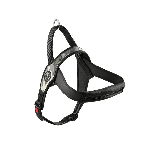 Primo Pettorina Tre ponti