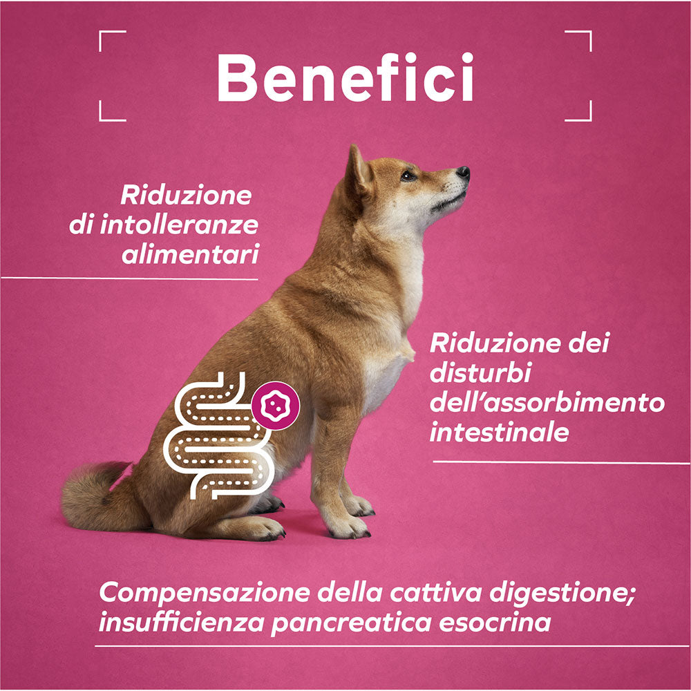 Forza10 Cane Intestinal – Alimento Dietetico Umido al Pesce per Cani.