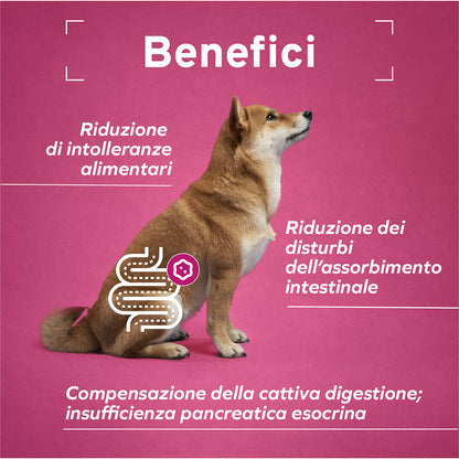 Forza10 Cane Intestinal – Alimento Dietetico Umido al Pesce per Cani.