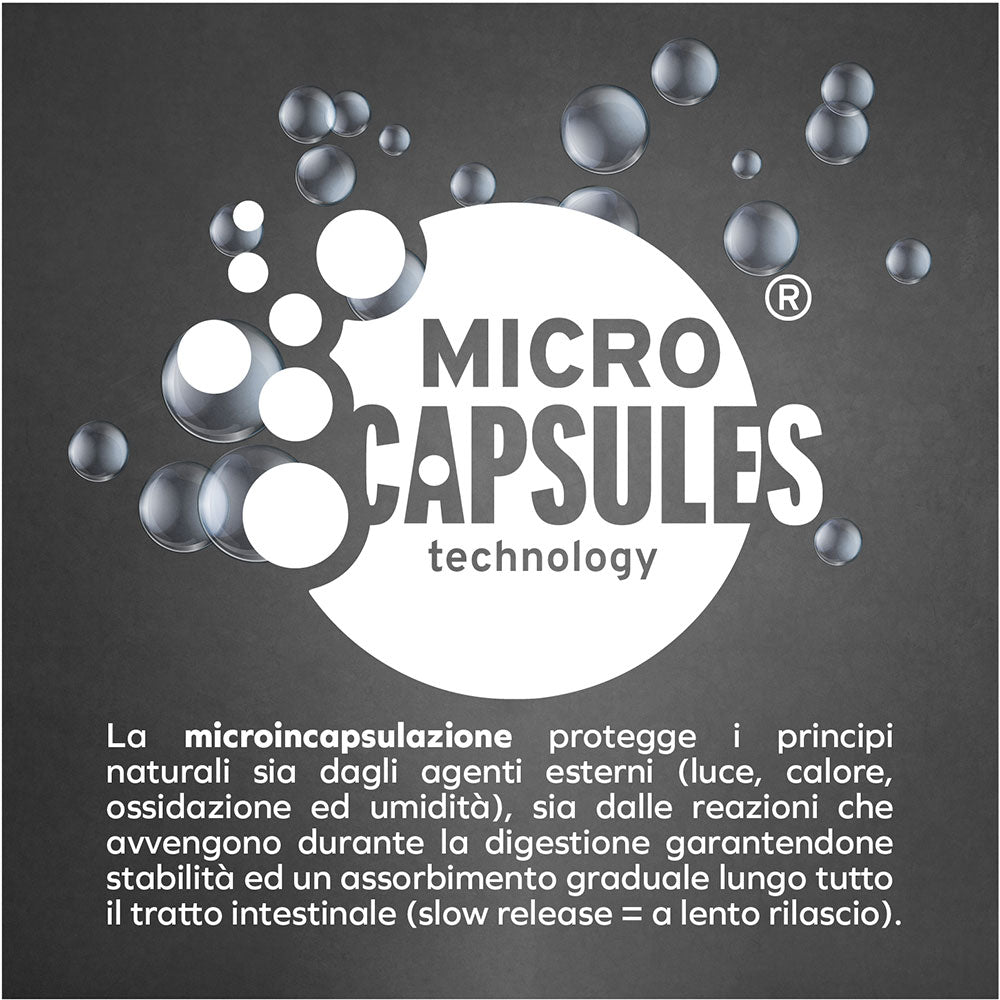 Forza10 Cane Intestinal – Alimento Dietetico Umido al Pesce per Cani.