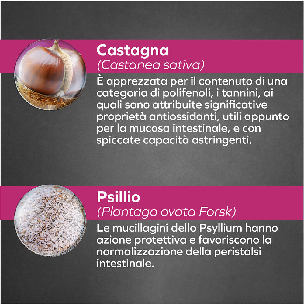 Forza10 Cane Intestinal – Alimento Dietetico Umido al Pesce per Cani.