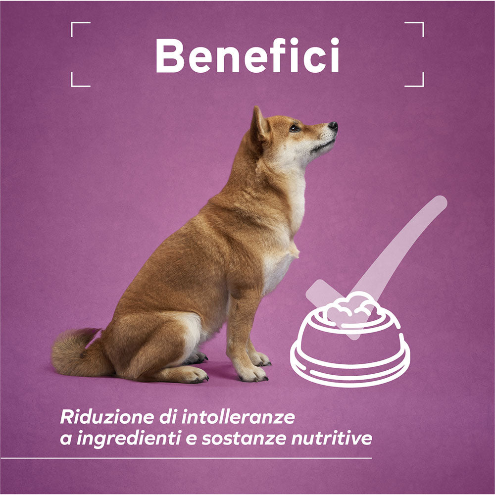 Cane Hypoallergenic - Pesce Alimento dietetico completo per cani adulti.