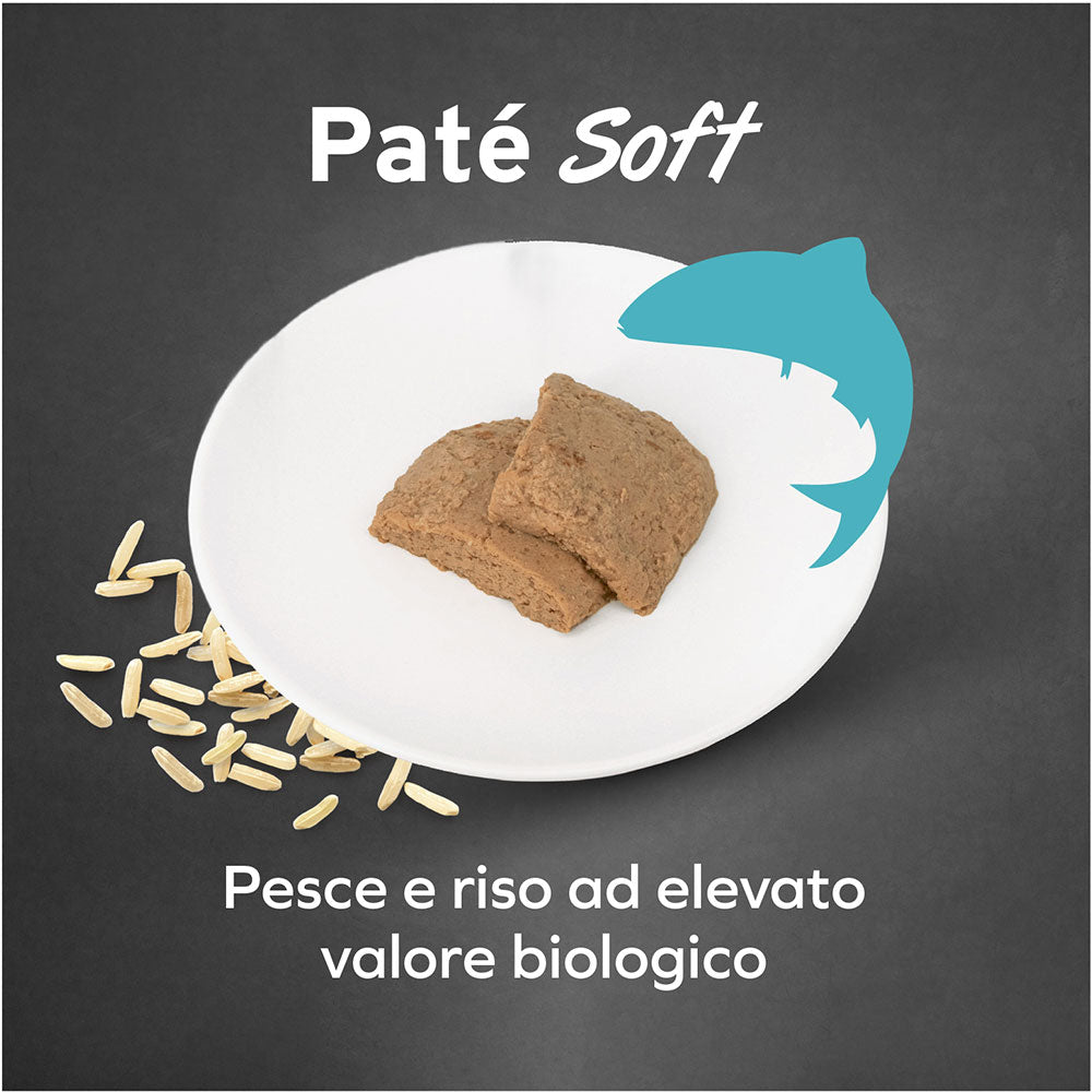 Cane Hypoallergenic - Pesce Alimento dietetico completo per cani adulti.