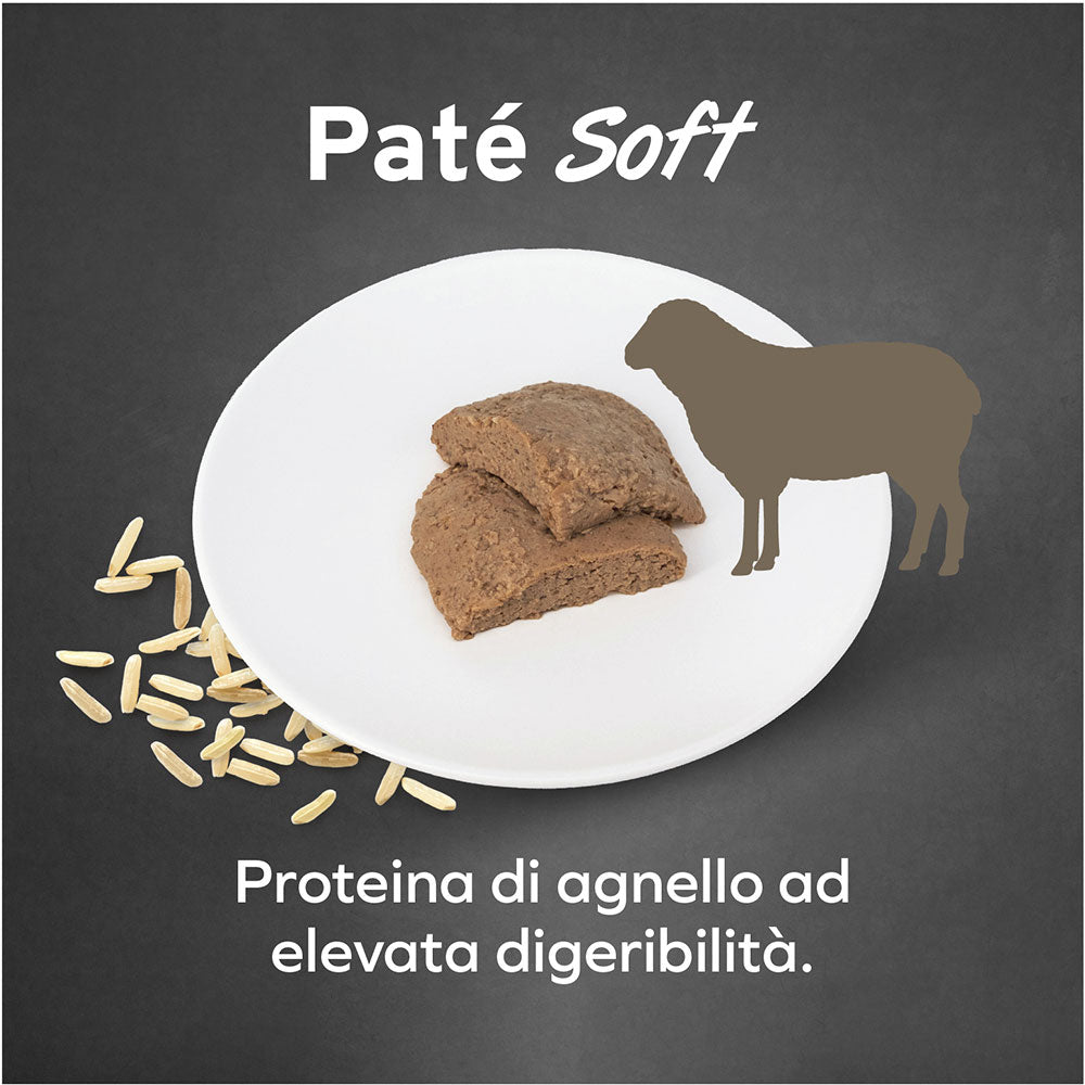 Forza10 Cane Hypoallergenic – Alimento Dietetico Umido Agnello per Cani con Intolleranze