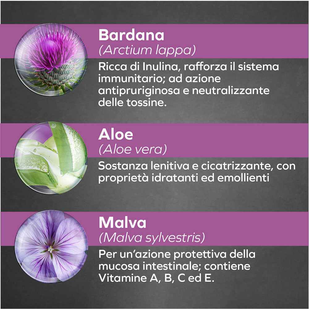 Forza10 Cane Hypoallergenic – Alimento Dietetico Umido Agnello per Cani con Intolleranze