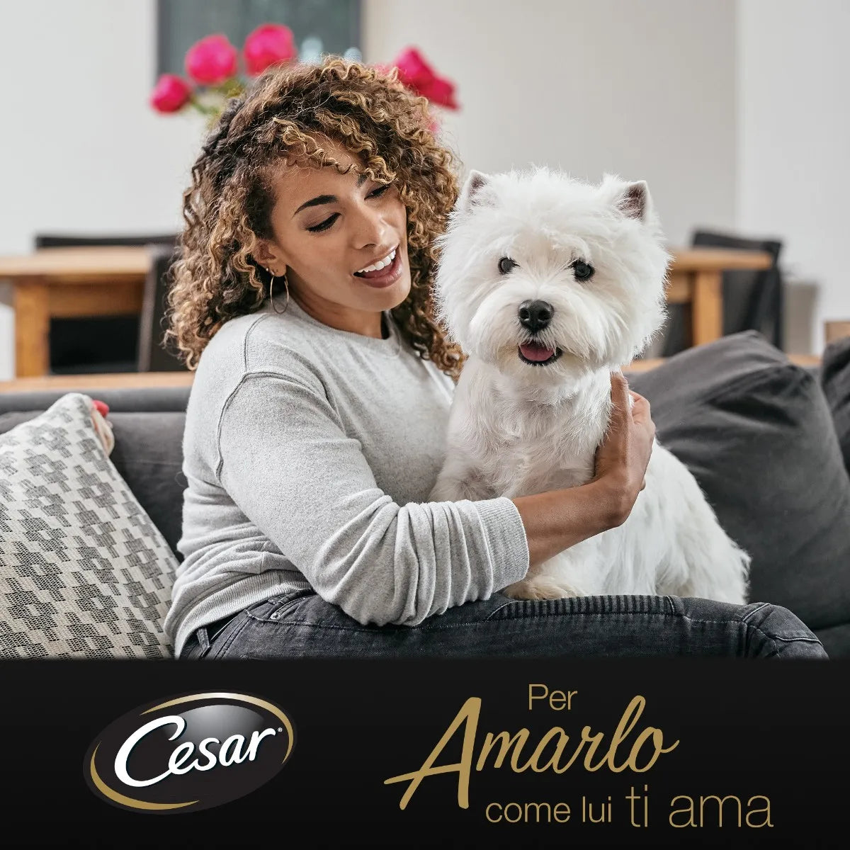 Buste di cibo umido per cani Cesar in salsa, multipack da 4x100g, prodotto da AGRIAPPIA, con vasetti di cibo per cani sul tavolo
