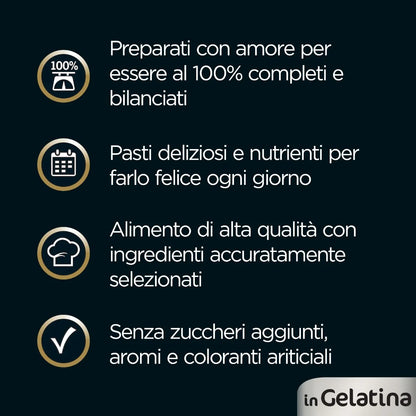 Cesar Dog Busta in Gelatina Multipack 4x100G
