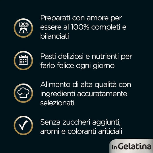 Cesar Dog Busta in Gelatina Multipack 4x100G