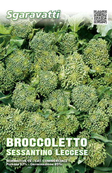 Broccoletto Sessantino Leccese AGRIAPPIA, cima grossissima, ortaggio fresco con foglie verdi e testa compatta.