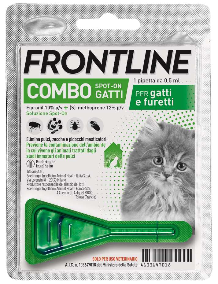 Blister con trattamento Frontline Combo Gatto di AGRIAPPIA per la protezione antiparassitaria dei gattini.
