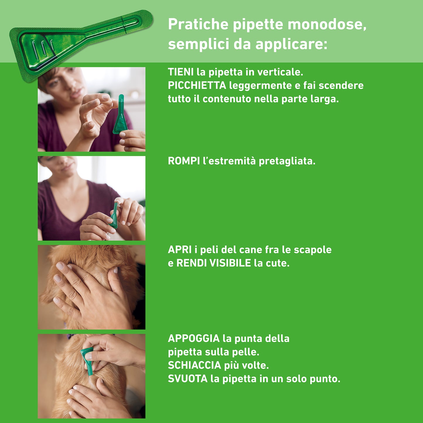 Cane con trattamento Frontline Combo® di AGRIAPPIA, applicato su pelle per la protezione da parassiti.