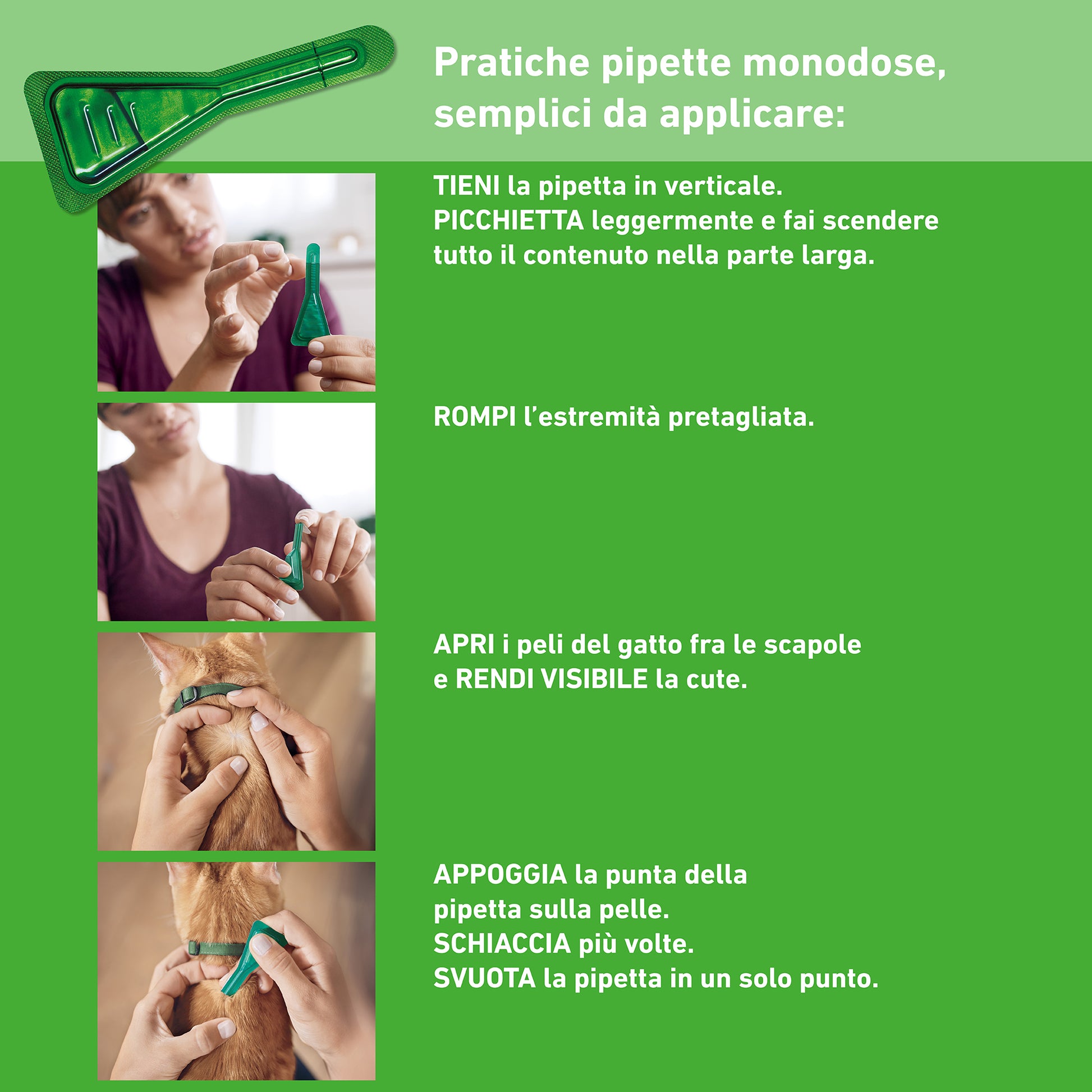 Applicazione di Frontline Combo Gatto di AGRIAPPIA, antiparassitario per gatti con pipette in uso.