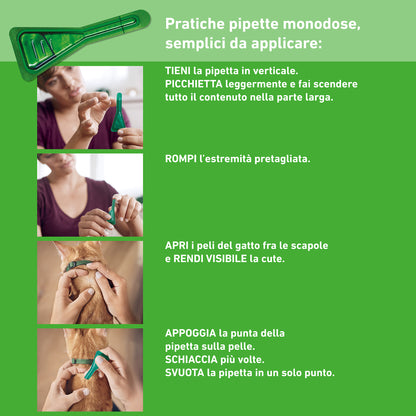 Applicazione di Frontline Combo Gatto di AGRIAPPIA, antiparassitario per gatti con pipette in uso.