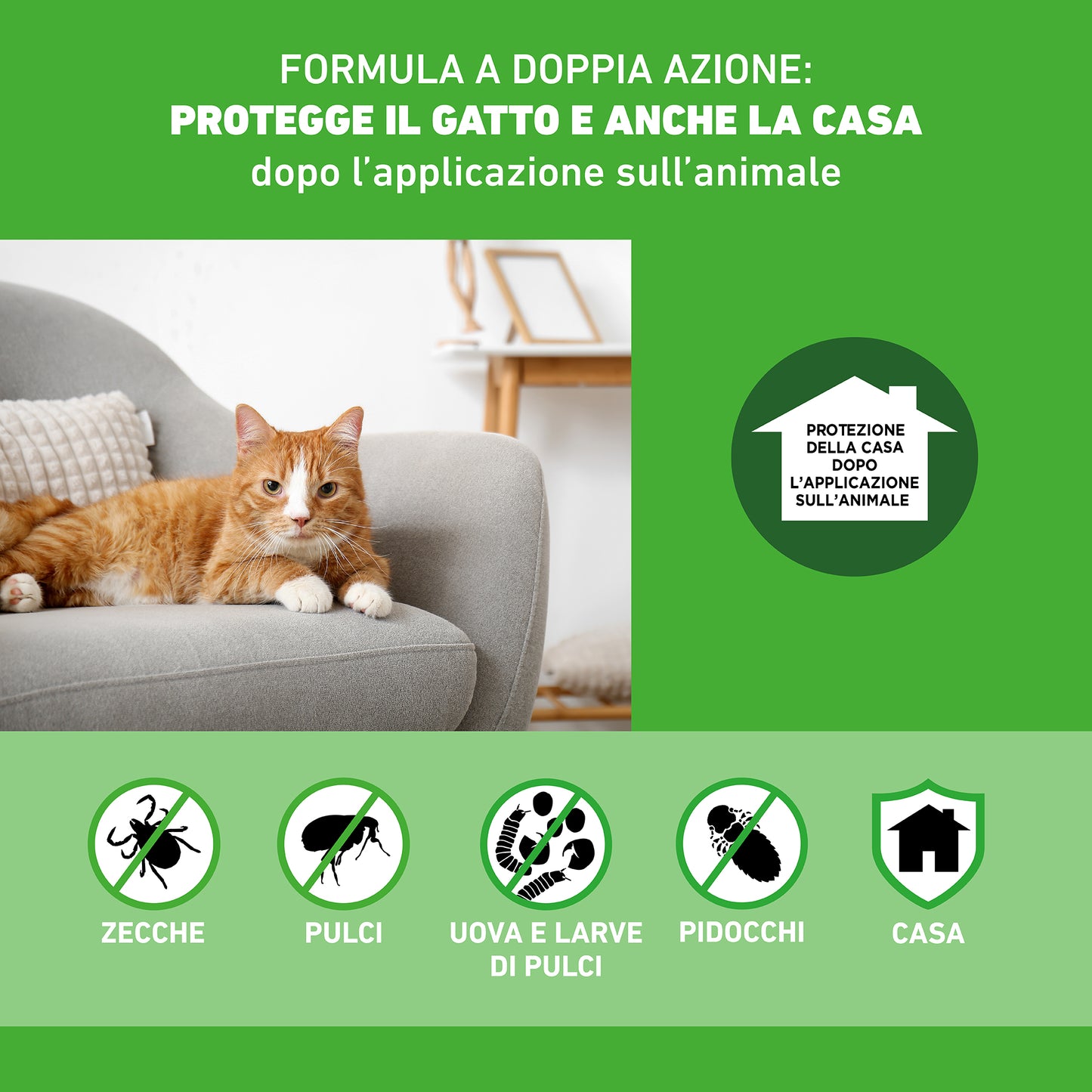 Trattamento antiparassitario Frontline Combo® Gatto di AGRIAPPIA, fiala con pipetta per gatti, applicata sulla pelle.
