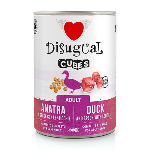 Cubetti Disugual AGRIAPPIA, blocchi di plastica colorata per costruzioni e giochi di fantasia, visibili in immagine.