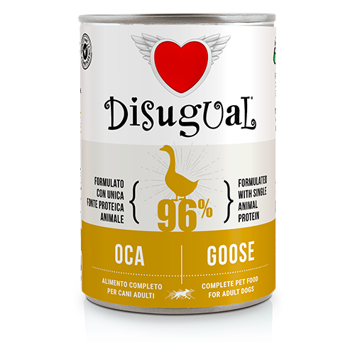 Disugual Adult