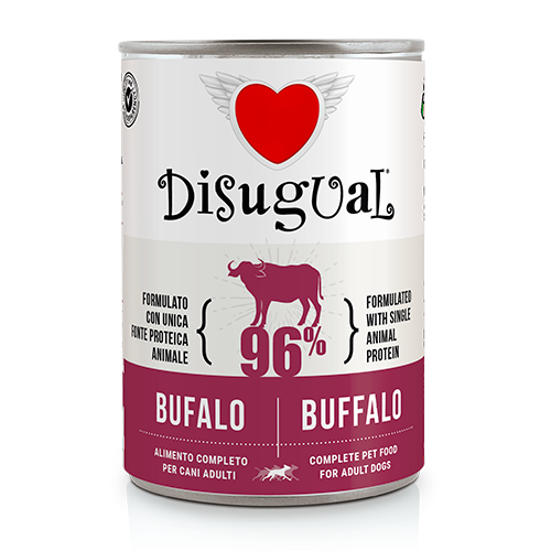 Disugual Adult