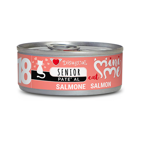 Scatola di Disugual senior patè AGRIAPPIA con salmone per gatti anziani, confezione da 500 g, immagine in primo piano.