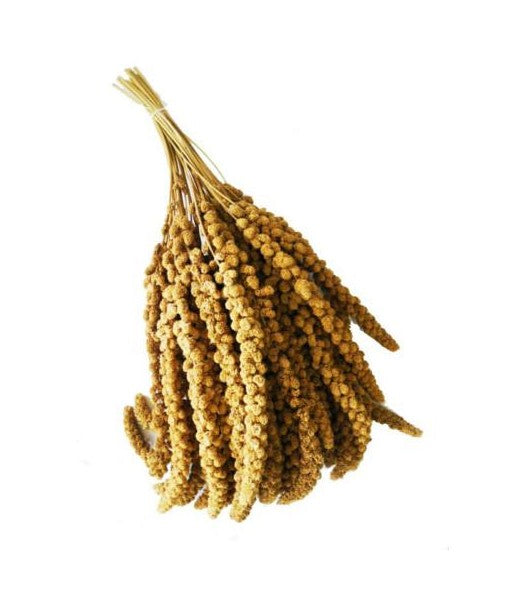 Panico in Spiga – Snack Naturale per Uccelli e Roditori