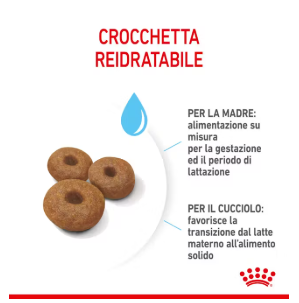 Cibo per cani Maxi Starter Royal Canin, confezione AGRIAPPIA, sacco di alimenti per cuccioli di grandi dimensioni