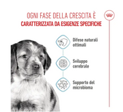 Puppy Medium Royal Canin