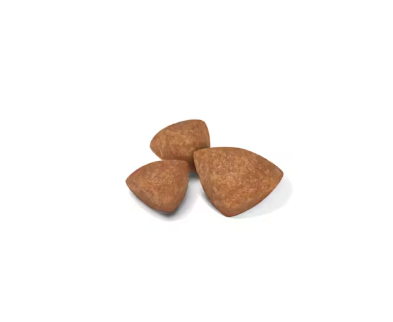 Cibo per cani Puppy X-Small Royal Canin di AGRIAPPIA, confezione con crocchette per cuccioli di taglia extra piccola