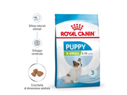 Puppy X-Small Royal Canin