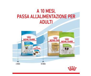 Cibo per cani Puppy X-Small Royal Canin di AGRIAPPIA, confezione con crocchette per cuccioli di piccole dimensioni