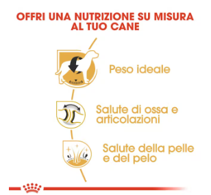 Cibo per cani Labrador Retriever adult Royal Canin di AGRIAPPIA, confezione con imballaggio e dettagli del prodotto