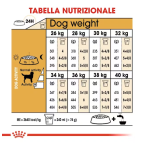 Cibo per cani Labrador Retriever Adult Royal Canin, confezione con crocchette specifiche per cani adulti di razza Labrador Retriever.