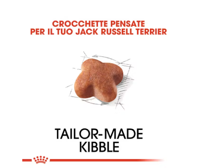 Cibo per cani Jack Russell Adult Royal Canin, confezione con crocchette per cani adulti di razza Jack Russell