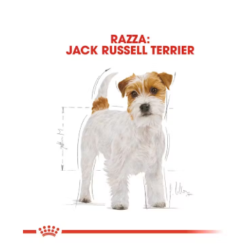 Cibo per cani Jack Russell Adult Royal Canin in confezione con imballaggio e etichetta visibile.
