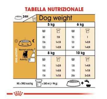 Cibo per cani Jack Russell adult Royal Canin in confezione, prodotto AGRIAPPIA, con immagine del packaging.