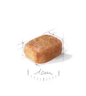 Chihuahua Adulto Royal Canin