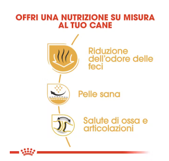 Cibo per cani Bulldog Adult Royal Canin di AGRIAPPIA, confezione con crocchette specifiche per cani adulti di razza Bulldog