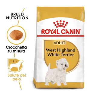 West Highland White Terrier adulti e maturi Royal Canin