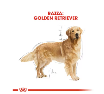 Cibo per cani Golden Retriever Royal Canin di AGRIAPPIA, confezione con crocchette per adulti, immagine in primo piano.