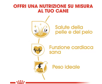 Cibo per cani Golden Retriever Adult Royal Canin, confezione con immagine del prodotto, marca AGRIAPPIA.