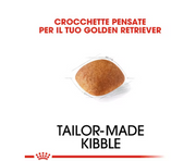 Golden Retriever Adult Royal Canin