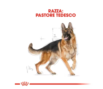 Cibo per cani German Shepherd Adult Royal Canin di AGRIAPPIA, sacchetto di alimenti per cani di taglia grande.