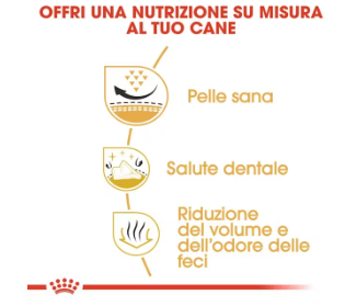 Cibo per cani Shih Tzu adulto Royal Canin di marca AGRIAPPIA, confezione con sacchetto di cibo per cani.