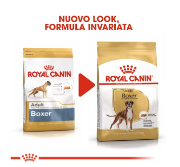 Boxer adulto con cibo per cani Royal Canin, confezione AGRIAPPIA, mostra sacchetto di alimenti per cani di taglia media