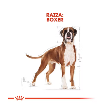 Cibo per cani Boxer Adult Royal Canin di AGRIAPPIA, confezione con alimento specifico per cani di taglia media.