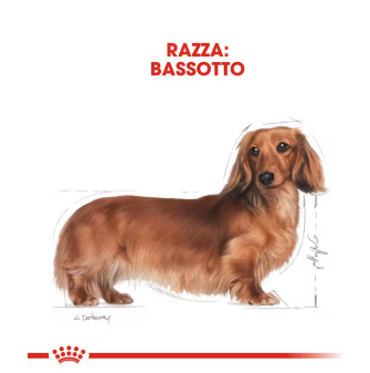 Crocchette AGRIAPPIA per cani bassotti adulti e maturi, alimenti secchi per cani di taglia piccola e razza bassotto.