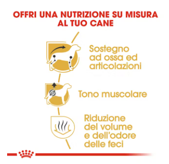 Cibo per cani adulti e maturi di marca AGRIAPPIA, confezione di alimento per bassotti con immagini di cani sul packaging.