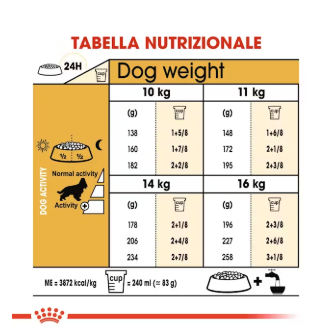 Cocker Adulto Royal Canin